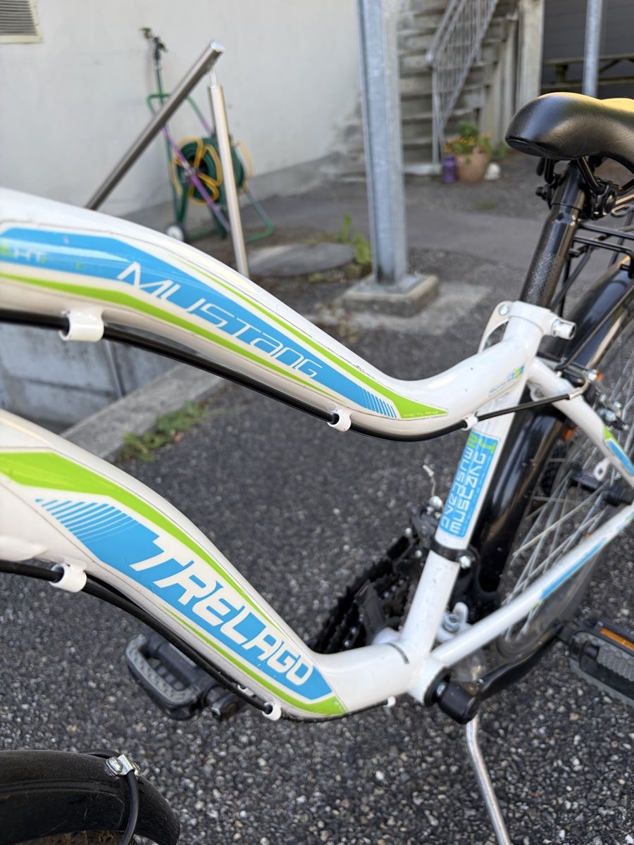 Trelago Velos: Mädchenfahrrad – Gebraucht aus Gretzenbach von Robcsi1 2