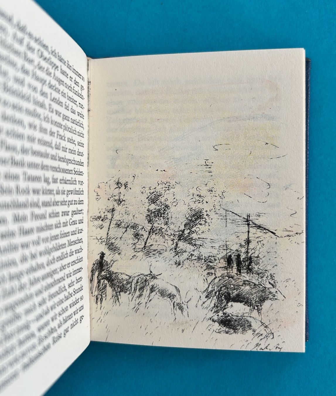 Libri: Kleines DUO BUCH in Leder – Usato da Zürich venduto da Domus09 4