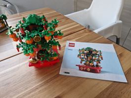 Lego Set 40648 Geldbaum mit Bauanleitung aufgebaut