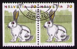 1995_791H3_Kaninchen_PAAR Halb-O BERN SCHALTER !