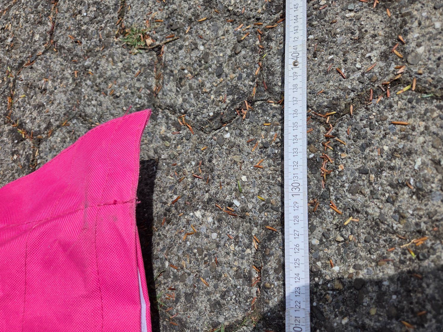 Poltrone: Grosser Sitzsack 170cm pink – Usato da Bellach venduto da fab_t8gy 2