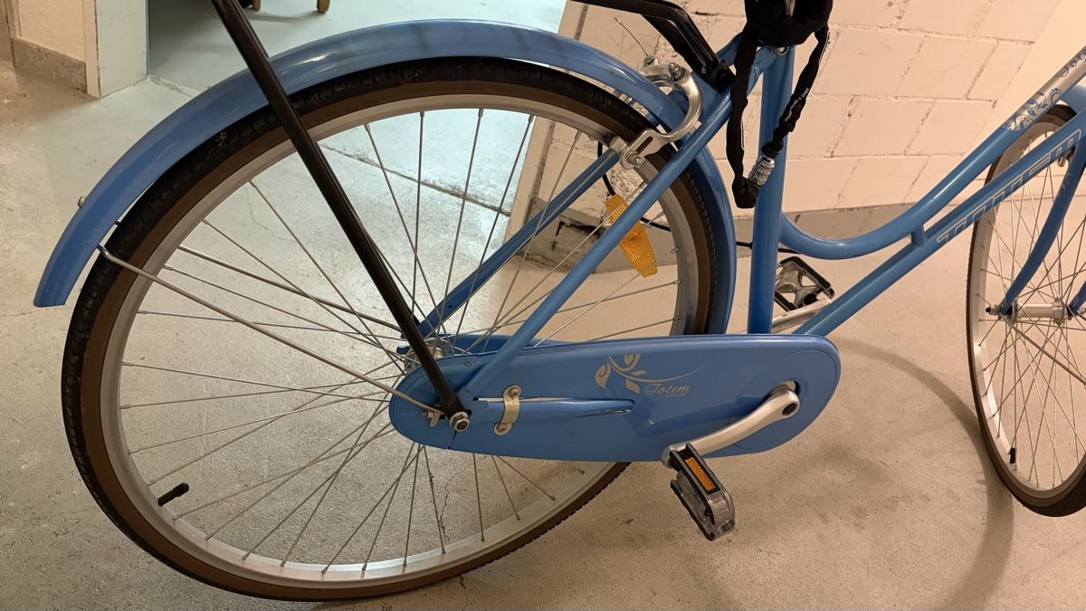 Totem Velos: Fahrrad/Damenrad Singlespeed, Modell Totem Classic – Gebraucht aus Hinwil von MattyT17 7