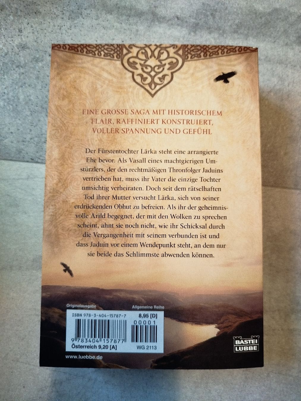 Libri: Die Hüter der Wolken - Kristin Falck – Usato da St. Gallen venduto da jbu_ns6v 3