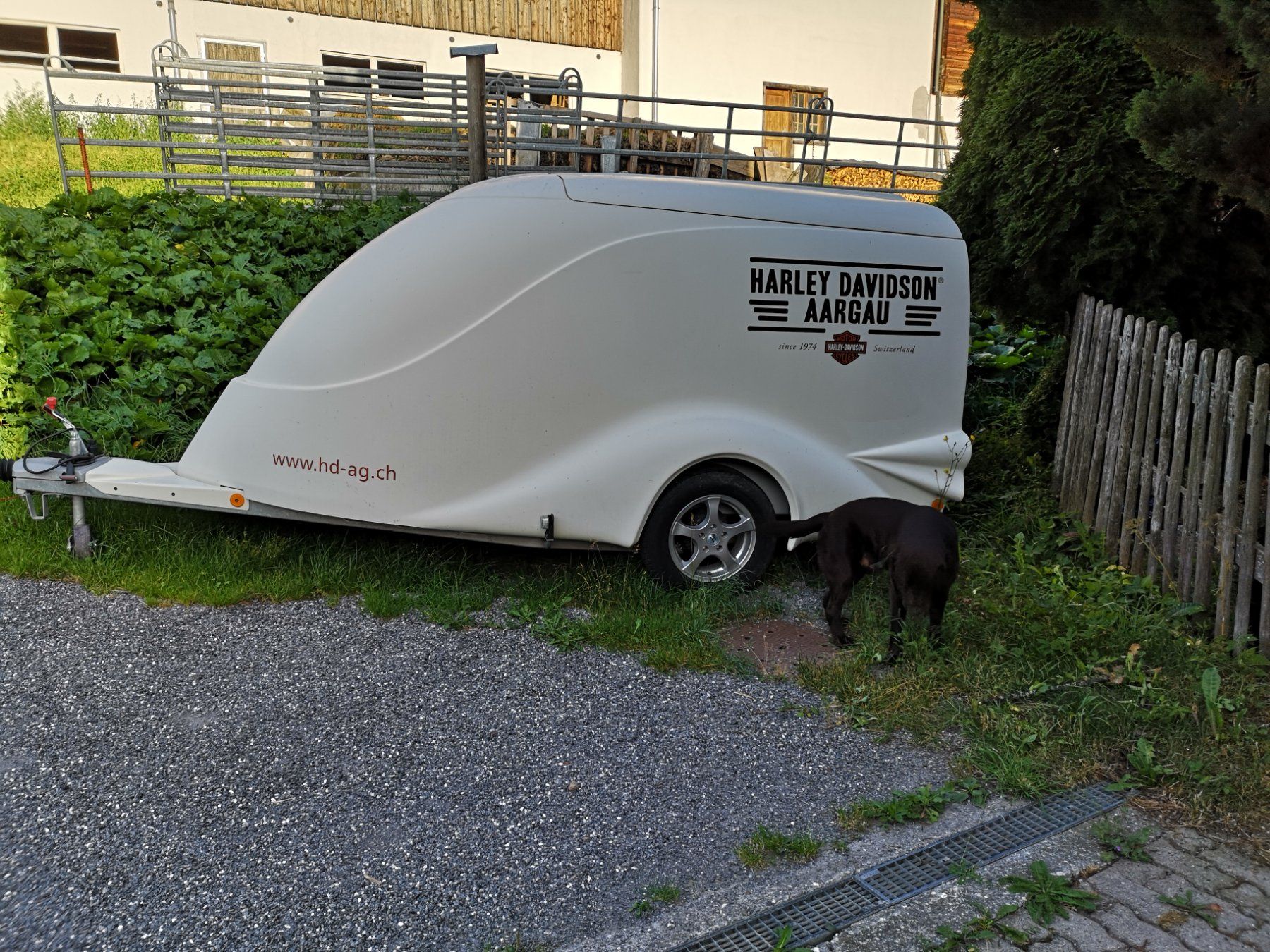 Harley-Davidson Strasse: Harley Davidson FXDRS Porsche Design – Neu (gemäss Beschreibung) aus Klosters Dorf von Baky61 8