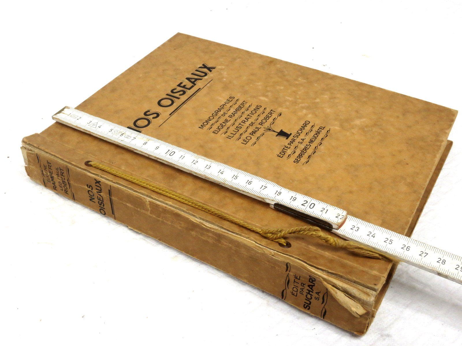 Libri: Nos oiseaux Eugène Rambert Paul Robert Livre illustré – Usato da Noville venduto da ceram