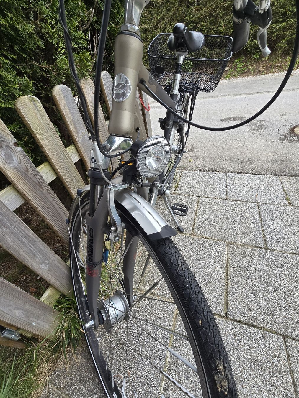 Diamant Biciclette: Diamant Fahrrad Unisex – Usato da Plasselb venduto da nathannatur 5