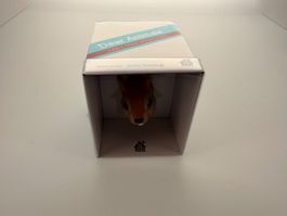 Coathanger Eichhörnchen