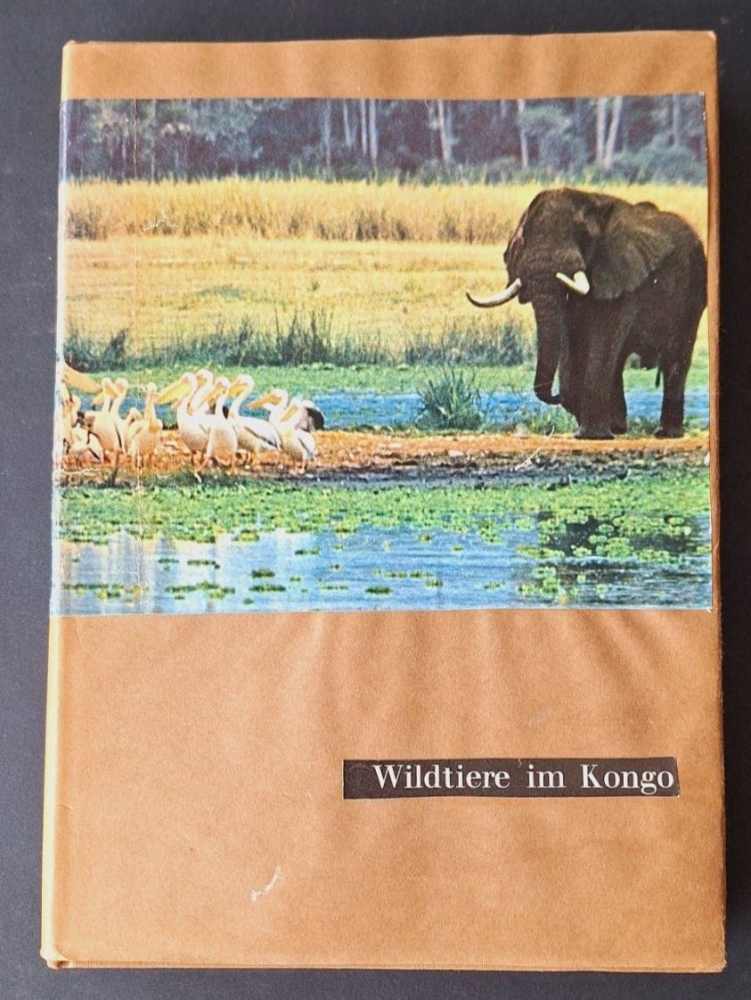 Libri: Wildtiere im Kongo,  Silva Buch – Usato da Zürich venduto da t24_de