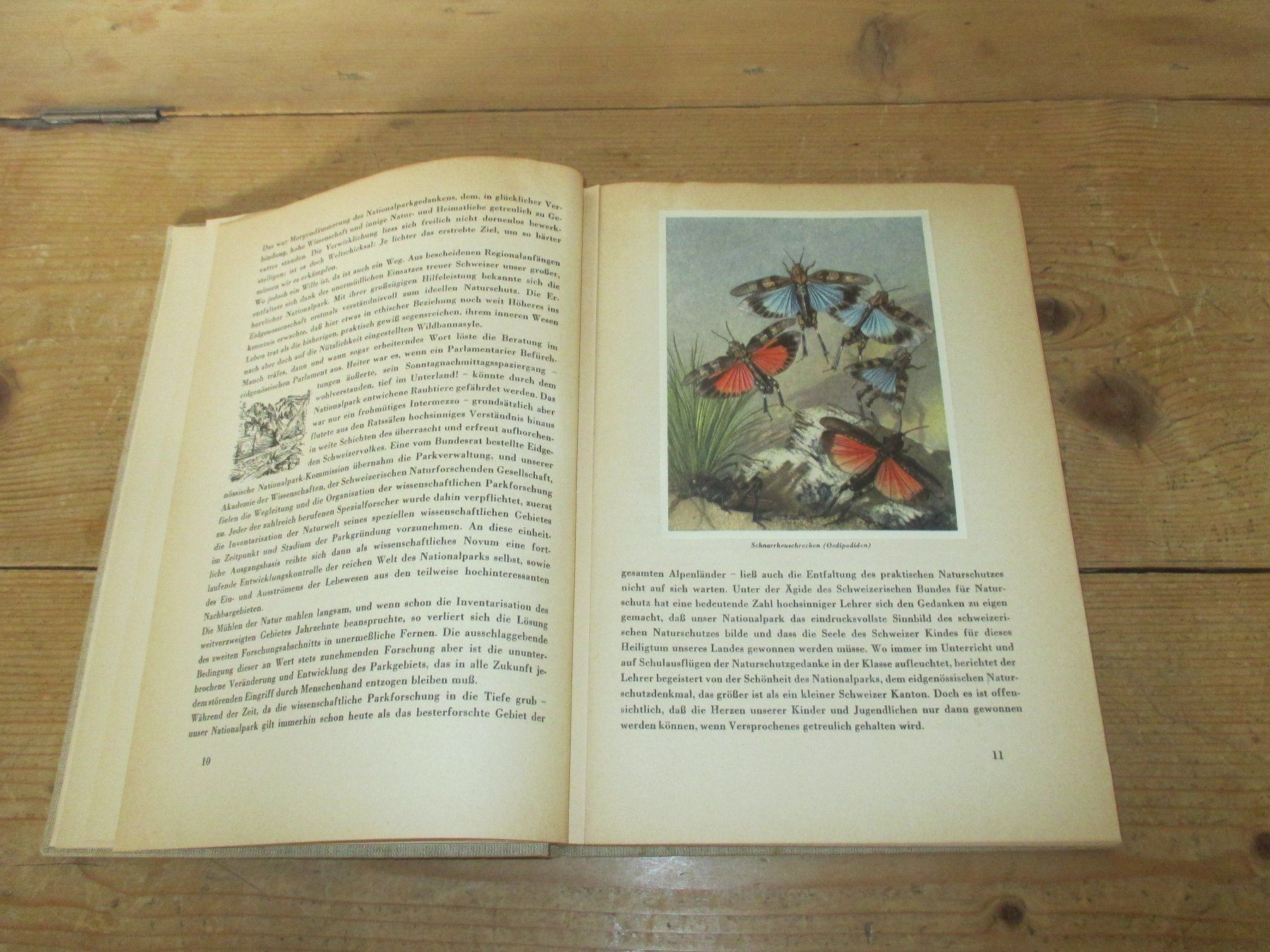 Libri: Der Schweizerische Nationalpark 1949 – Usato da Flims - Dorf venduto da Stagediver 3