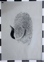 Claude Kuhn, Zebra/Fingerprint