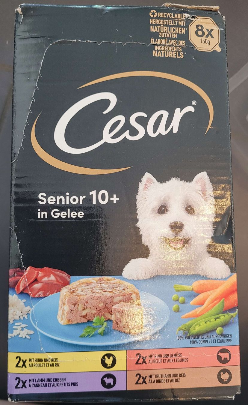 Mangimi: Cesar Senior 10+ in Gelee – Nuovo e nell'imballaggio originale da Kappel SO venduto da Matschi86