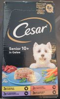 Cesar Senior 10+ in Gelee
