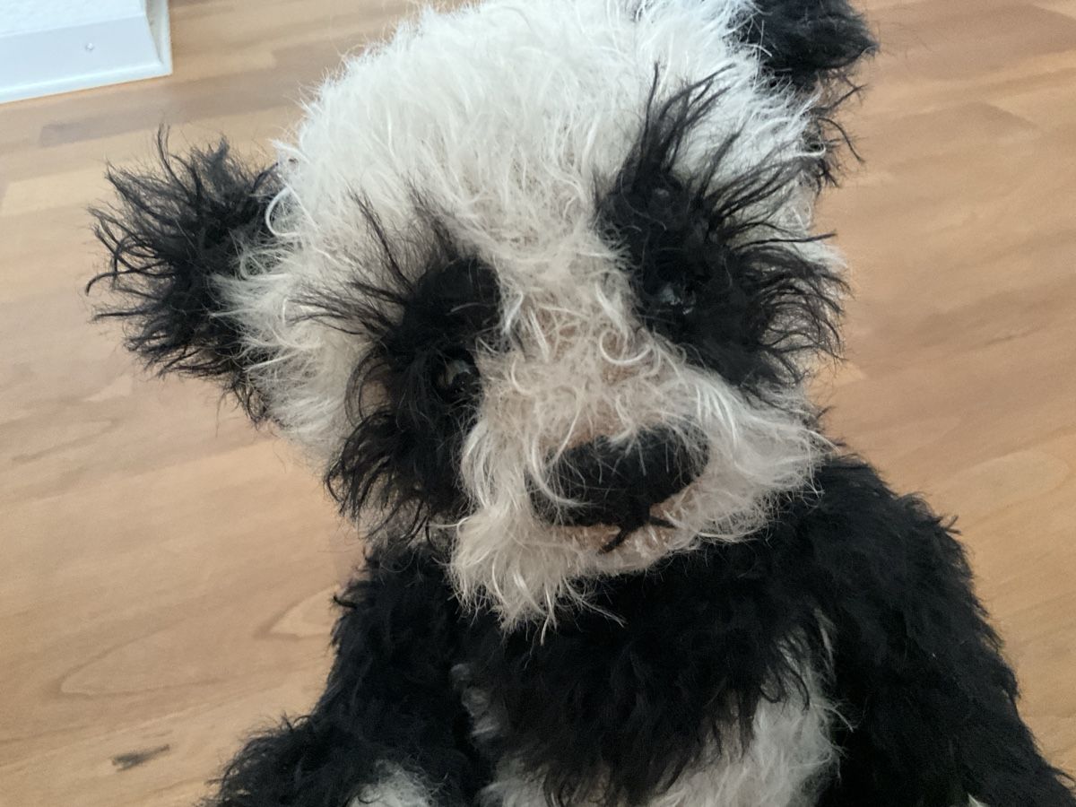 Jouets: Panda-Teddybär Jerko, handgefertigt – Neuf (Voir description) à Schmitten FR par Chili58 1