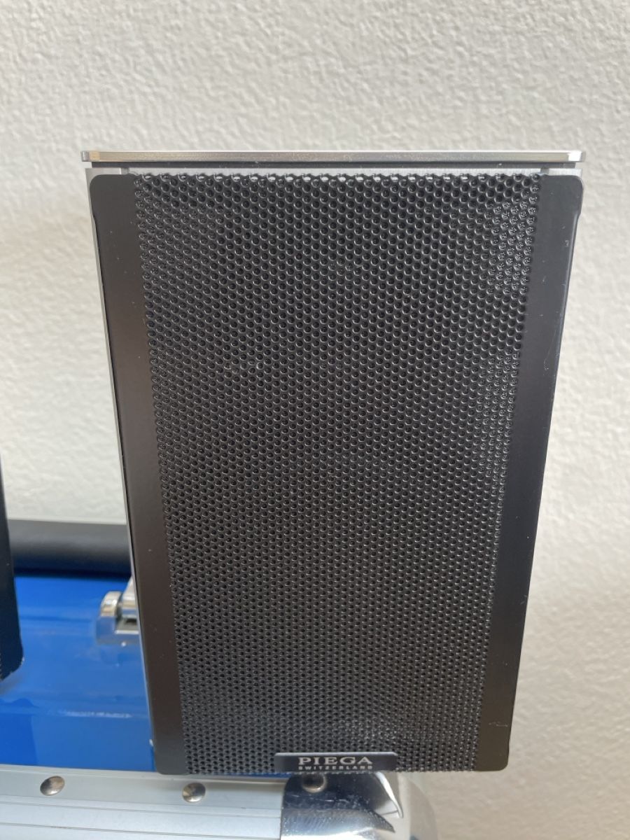 Piega Casse acustiche: Piega TS3 Lautsprecher – Usato da bern venduto da sousch 3