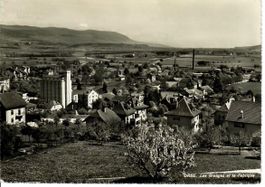 Orbe  1955