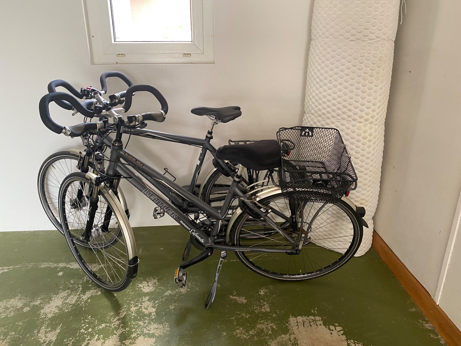 Biciclette: Velos Damen und Herren – Usato da Lotzwil venduto da Babaroo