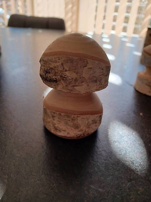 Tutte le decorazioni: Champignons en bois de bouleau – Nuovo e nell'imballaggio originale da Soyhières venduto da 5jm_5czl 3