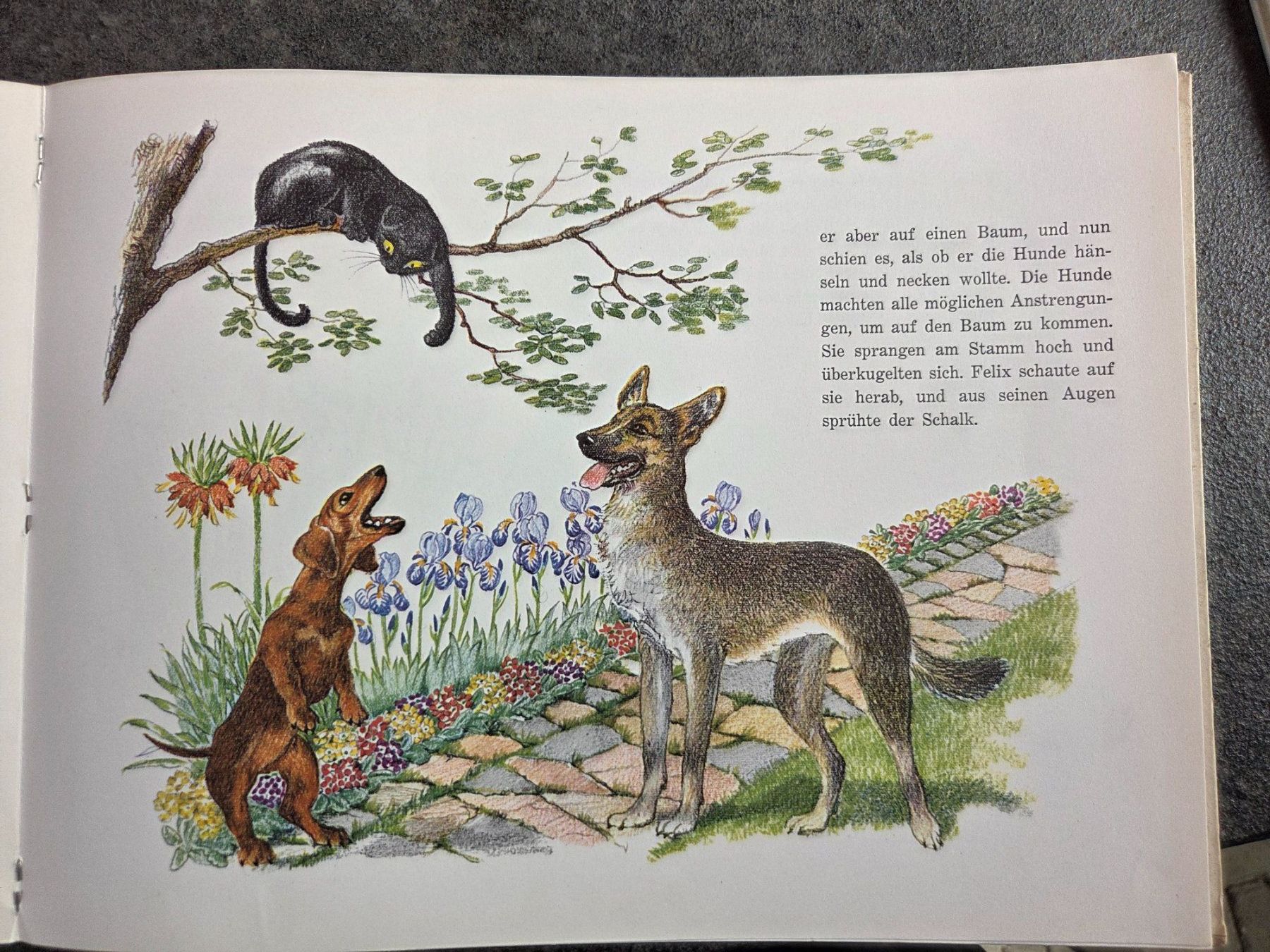 Libri: Felix der schwarze Kater – Usato da Münsingen venduto da Sokilein 2