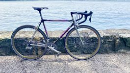 Colnago Master Olympic Rahmengrösse 52