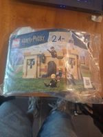LEGO Harry Potter 76395 :Poudlard : la première leçon de vol