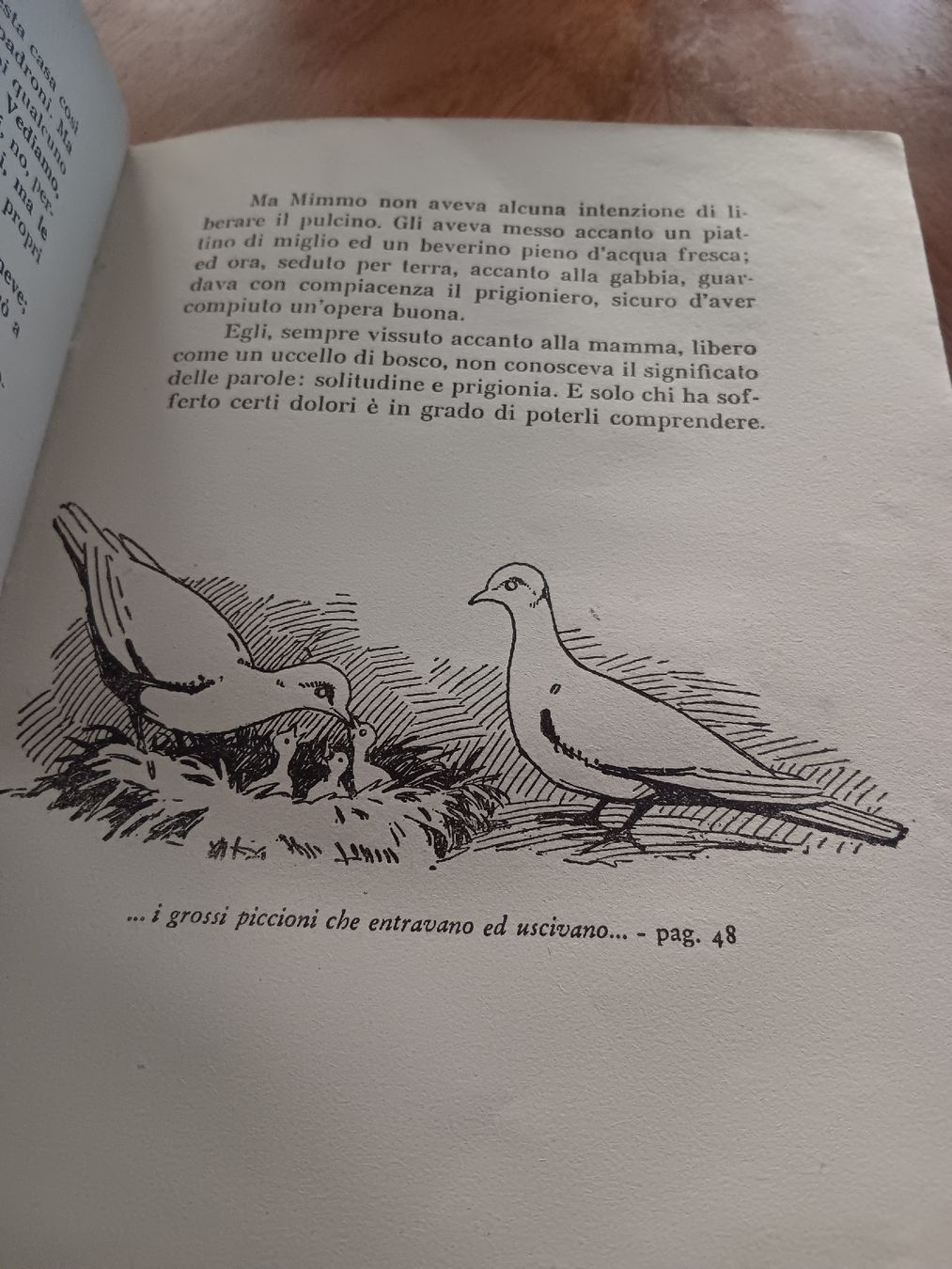 Bücher: altes Kinder Buch – Gebraucht aus Ambrì von Maerz87 2