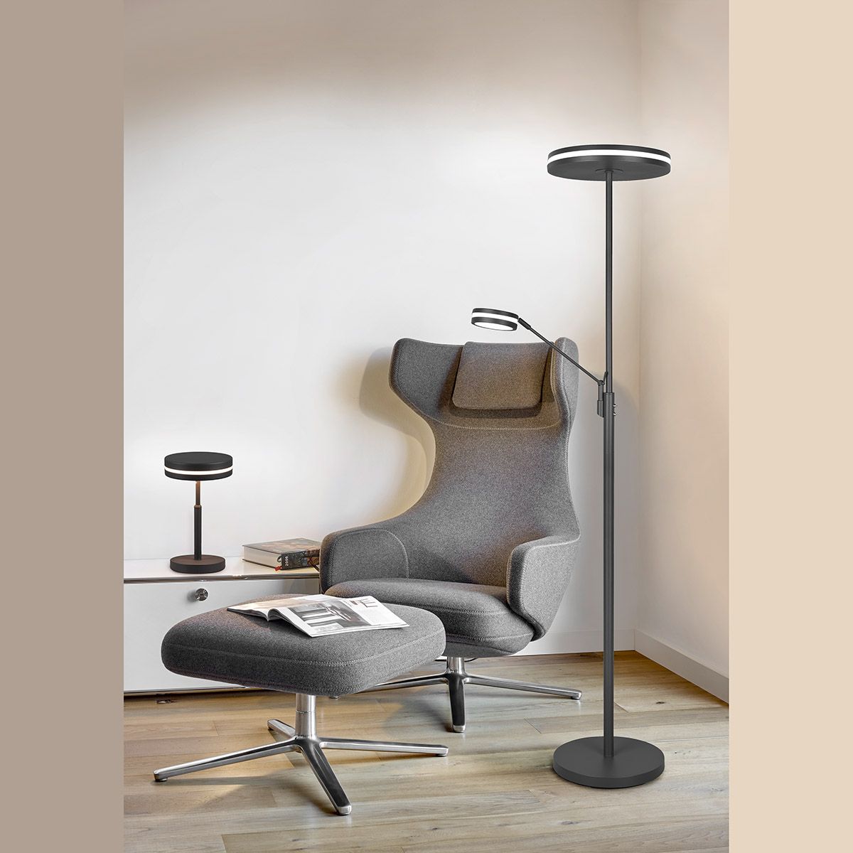 Lampade: LED Stehleuchte, Anthrazit, Dimmer, CCT – Nuovo (secondo la descrizione) da Kreuzlingen venduto da Smart-Light 2