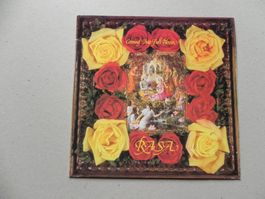 LP wohltuende Spirituelle Indische Musik der Band RASA 1979