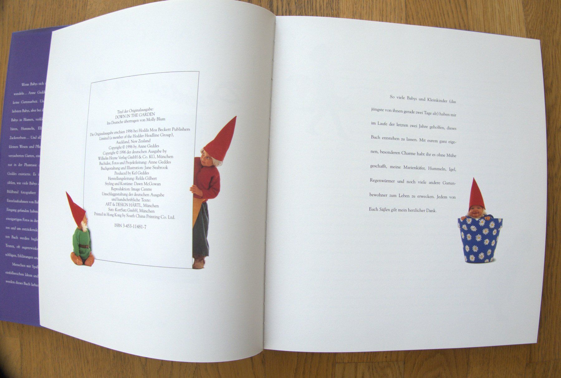 Libri: Anne Geddes "Drunten im Garten" Fotobuch – Usato da Rheinfelden venduto da bigi0956 1