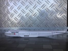 JAPAN ASIA WORLD AIRLINES