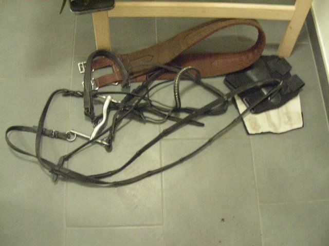 Selle & Accessori: Reitsattel, Pferdesattel – Usato da Oberdorf BL venduto da schnae09 5