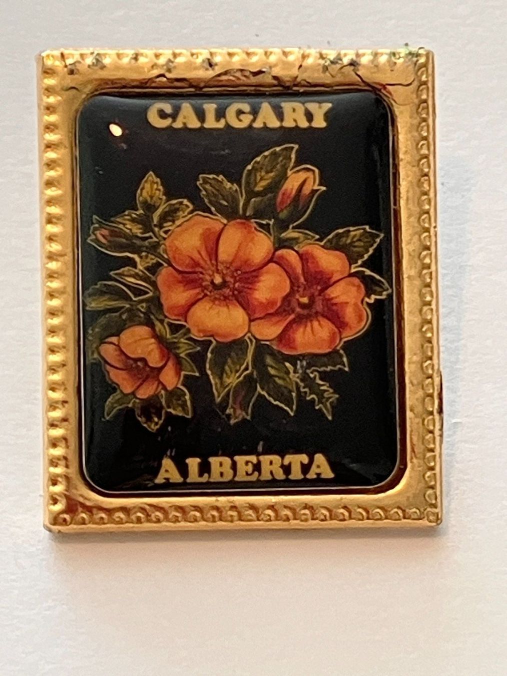 Placchette & Badge: 1 Pin Calgary Alberta – Usato da Basel venduto da djwwpp