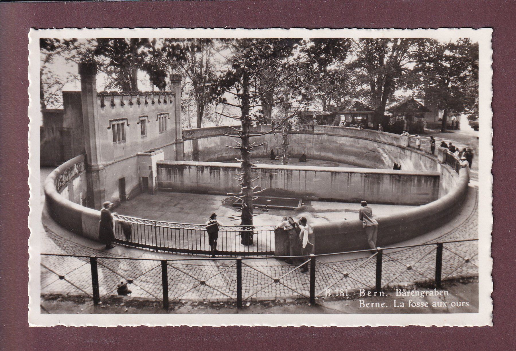 Cartes postales: BERN - Bärengraben – D'occasion à Pully par nicecards