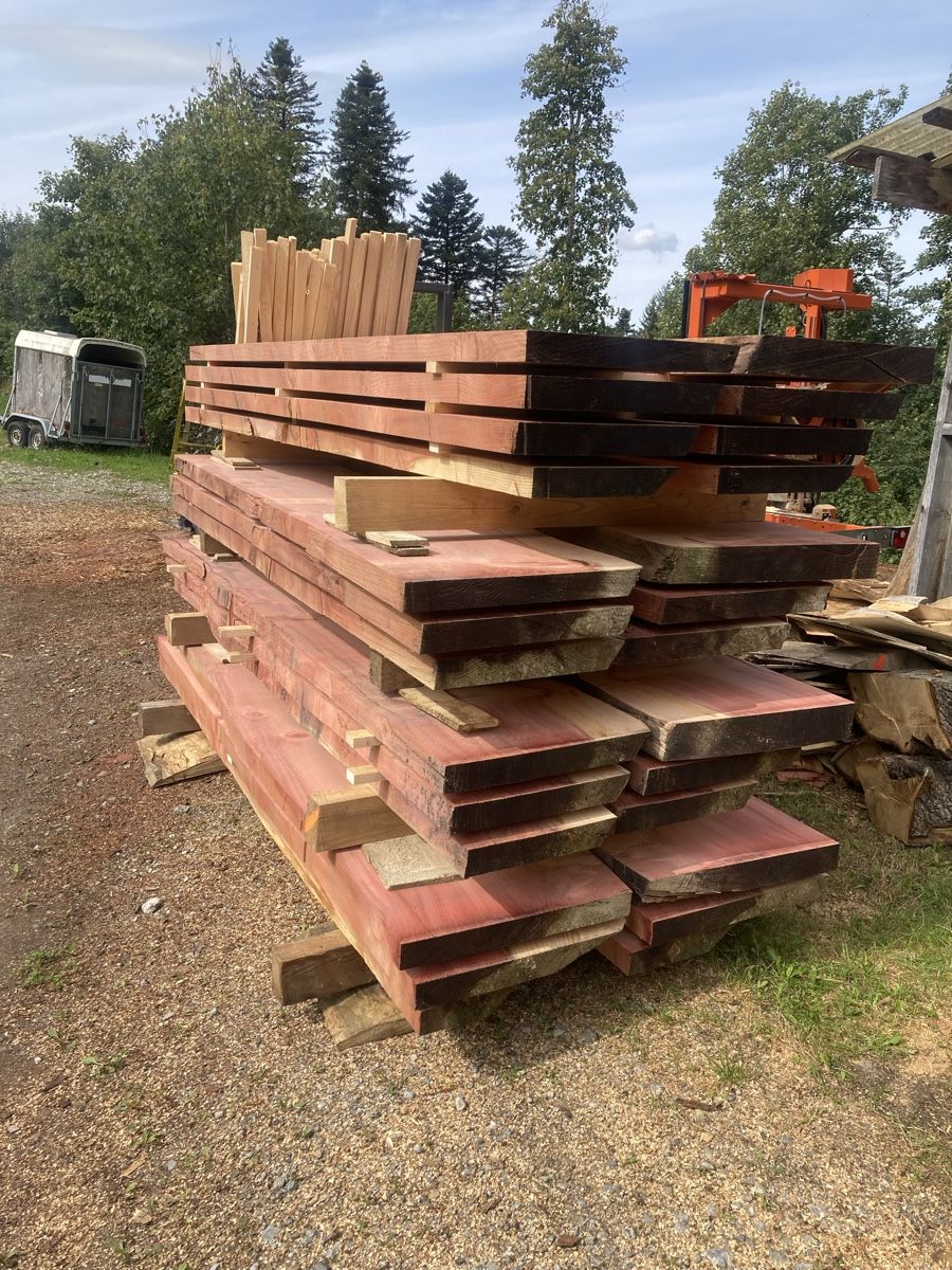 Articoli in legno: Sequoia Riesen Mammutbaum Klotzbretter – Nuovo e nell'imballaggio originale da Wald AR venduto da Mark92
