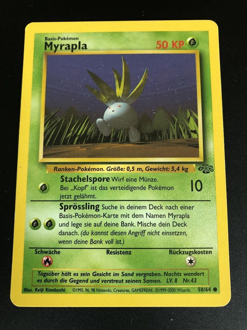 Pokémon Carte collezionabili: Myrapla Dschungel Set 58/64 – Usato da Windisch venduto da sevenless91