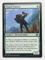 Magic The Gathering MTG Citanul Stalwart Common - BRO