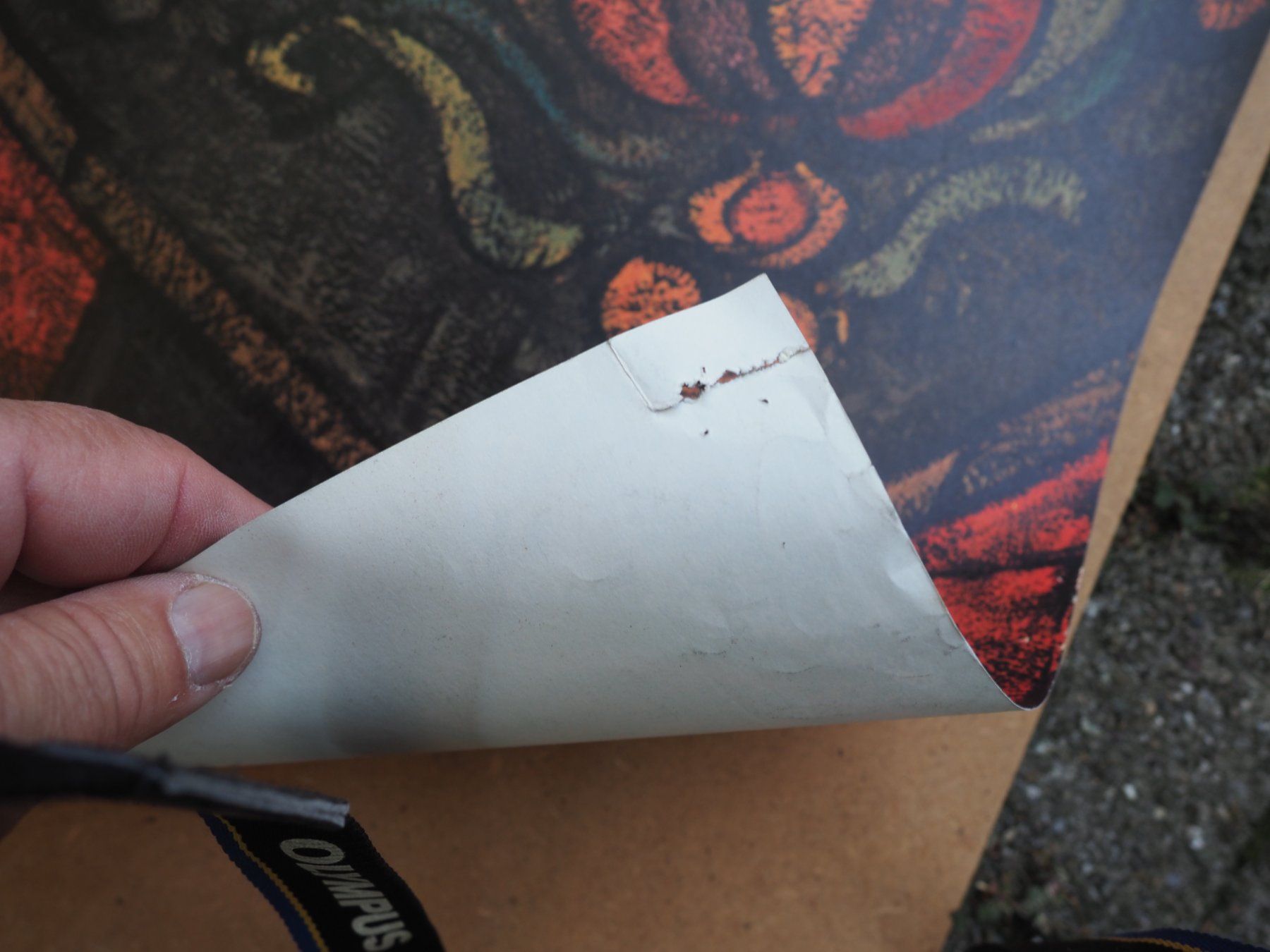 Foto & Immagini: Werbeplakat: Scoul – Usato da Schänis venduto da Lobelie1 2