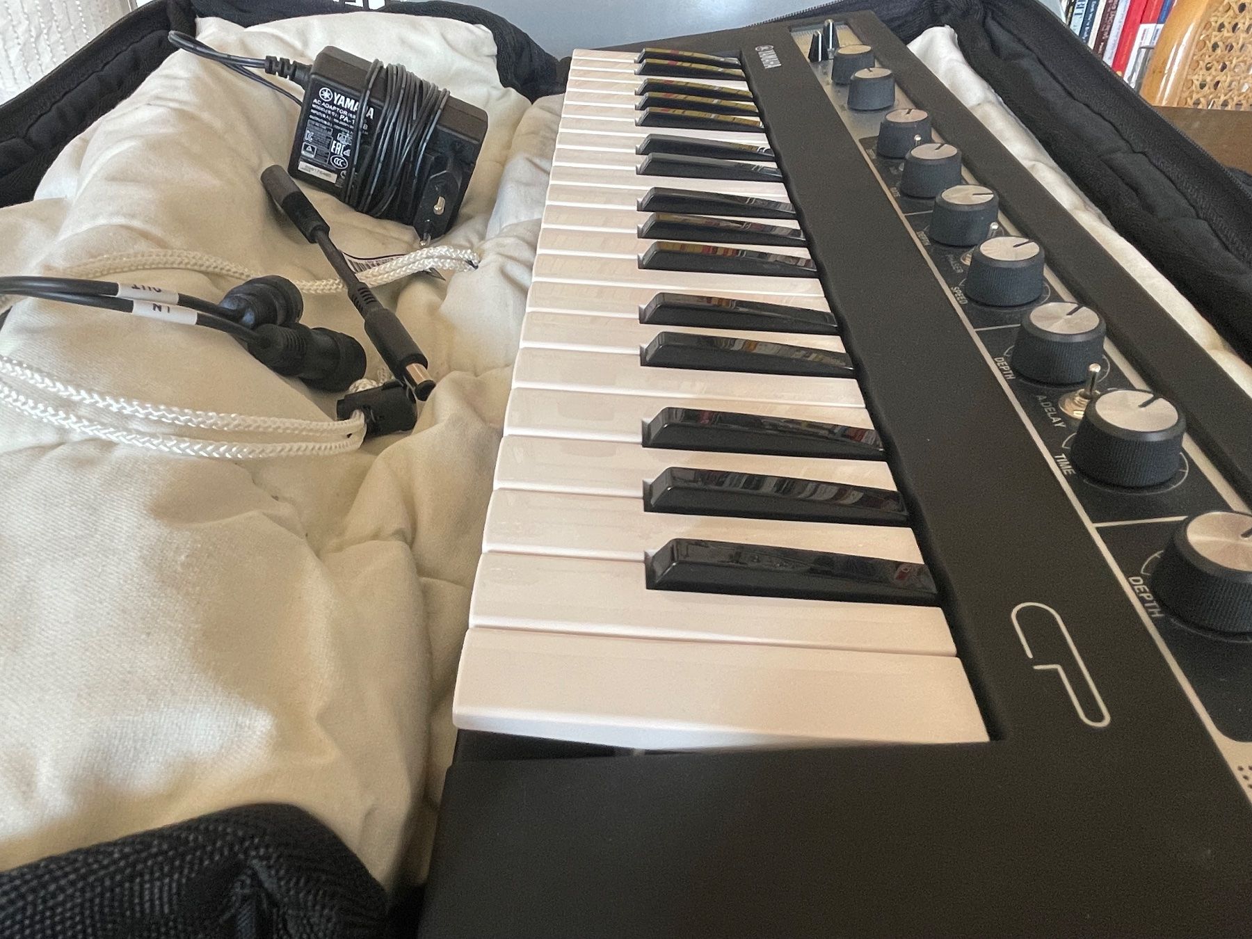 Yamaha Strumenti musicali: Yamaha Reface CP Keyboard mit Tasche – Usato da Zürich venduto da Mockoso 3