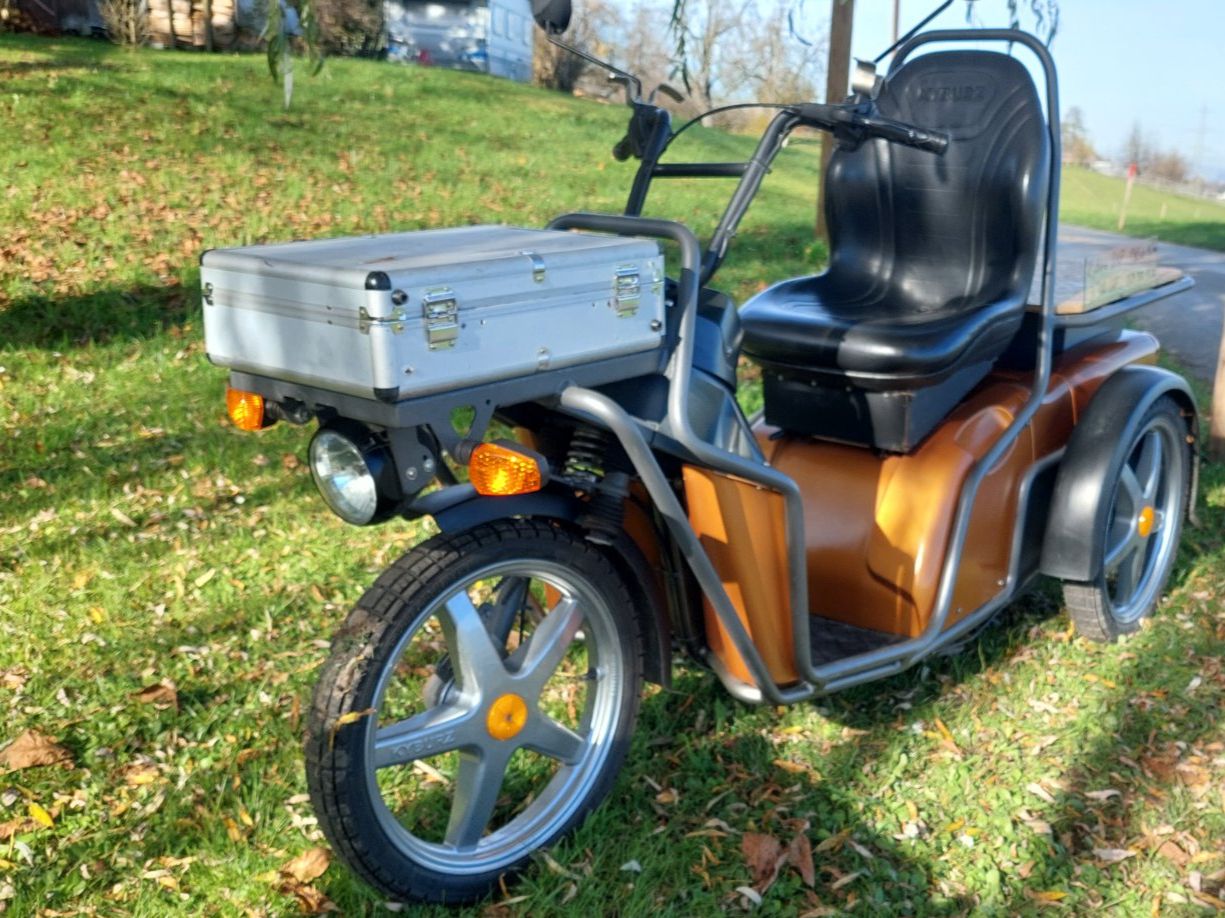 Kyburz Veicoli elettrici: Kyburz DXP 180ah – Usato da Schönenberg ZH venduto da allegro01