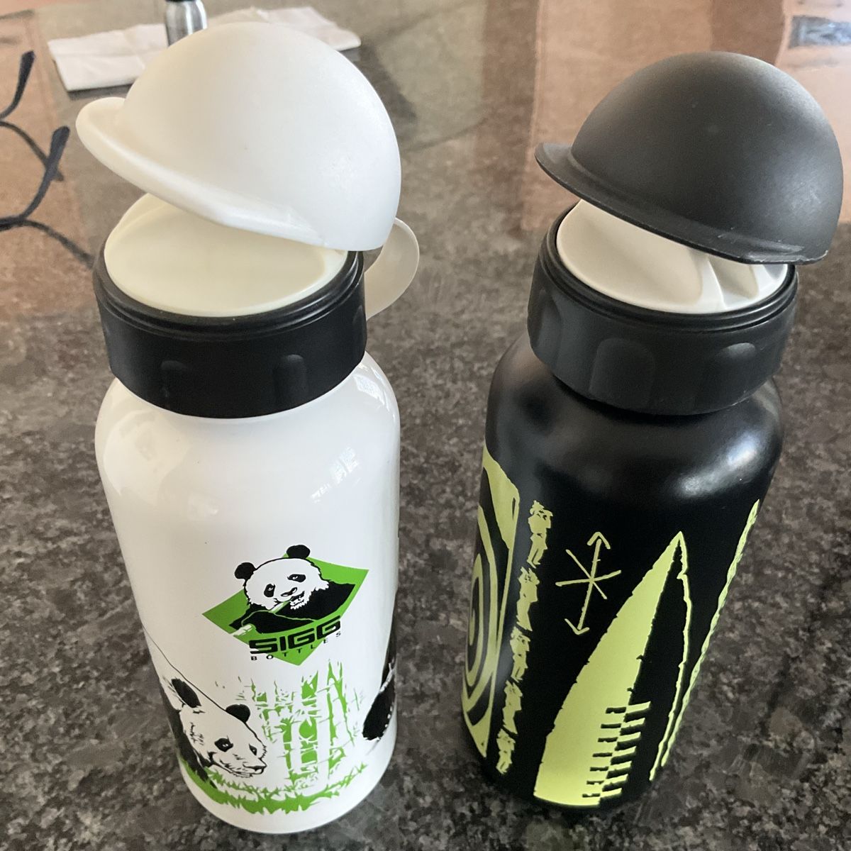 Sigg Borracce & Thermos: Bouteille SIGG isotherme – Usato da Murten venduto da Louis1954 2