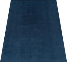 -50% ‼️ 300x400 cm Teppich Super Soft Blau