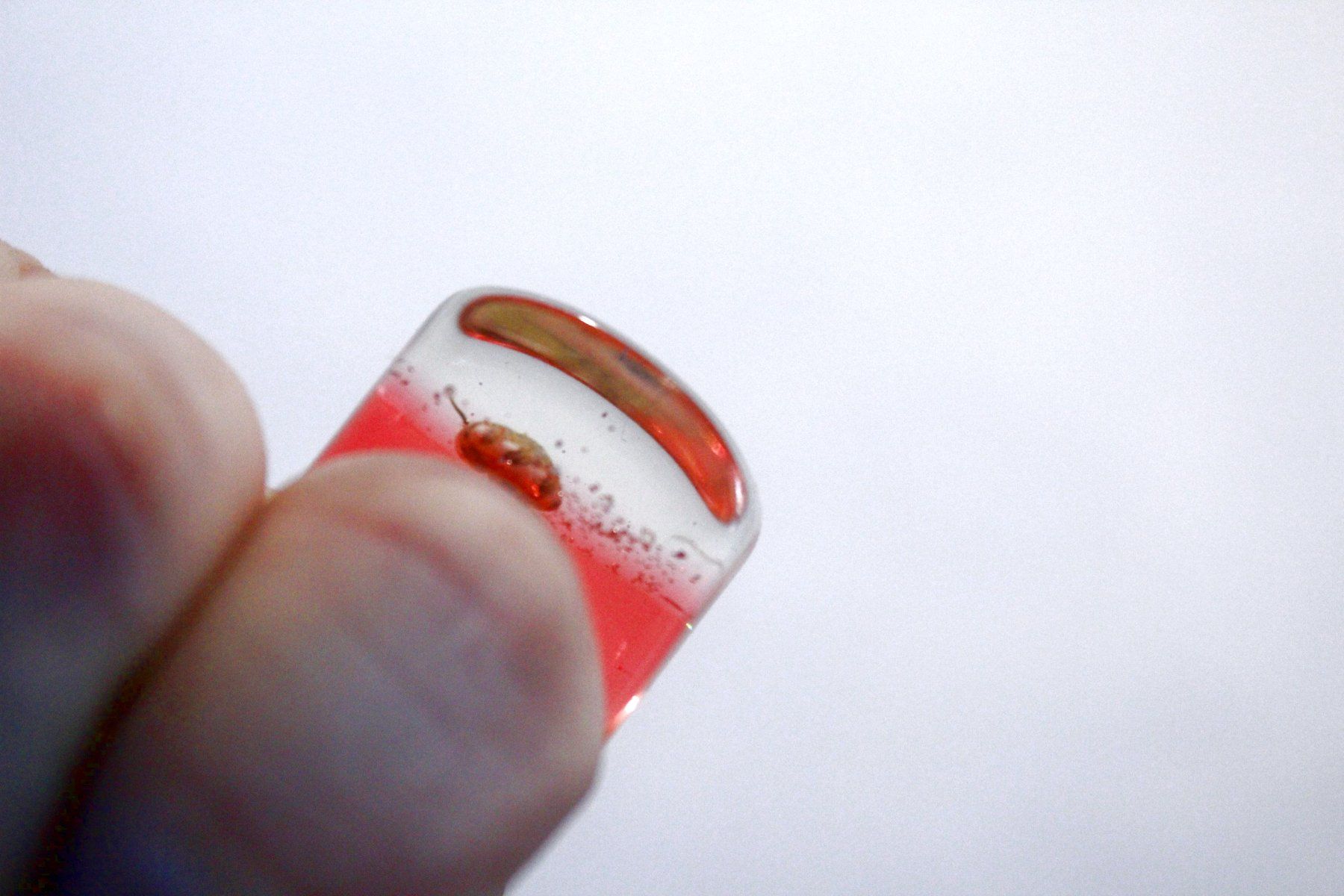 Ringe: Vintage Space-Age - Ring mit Muschel, Seestern, Seeigel, usw – Neu (gemäss Beschreibung) aus Bern von Vitaneuf 3