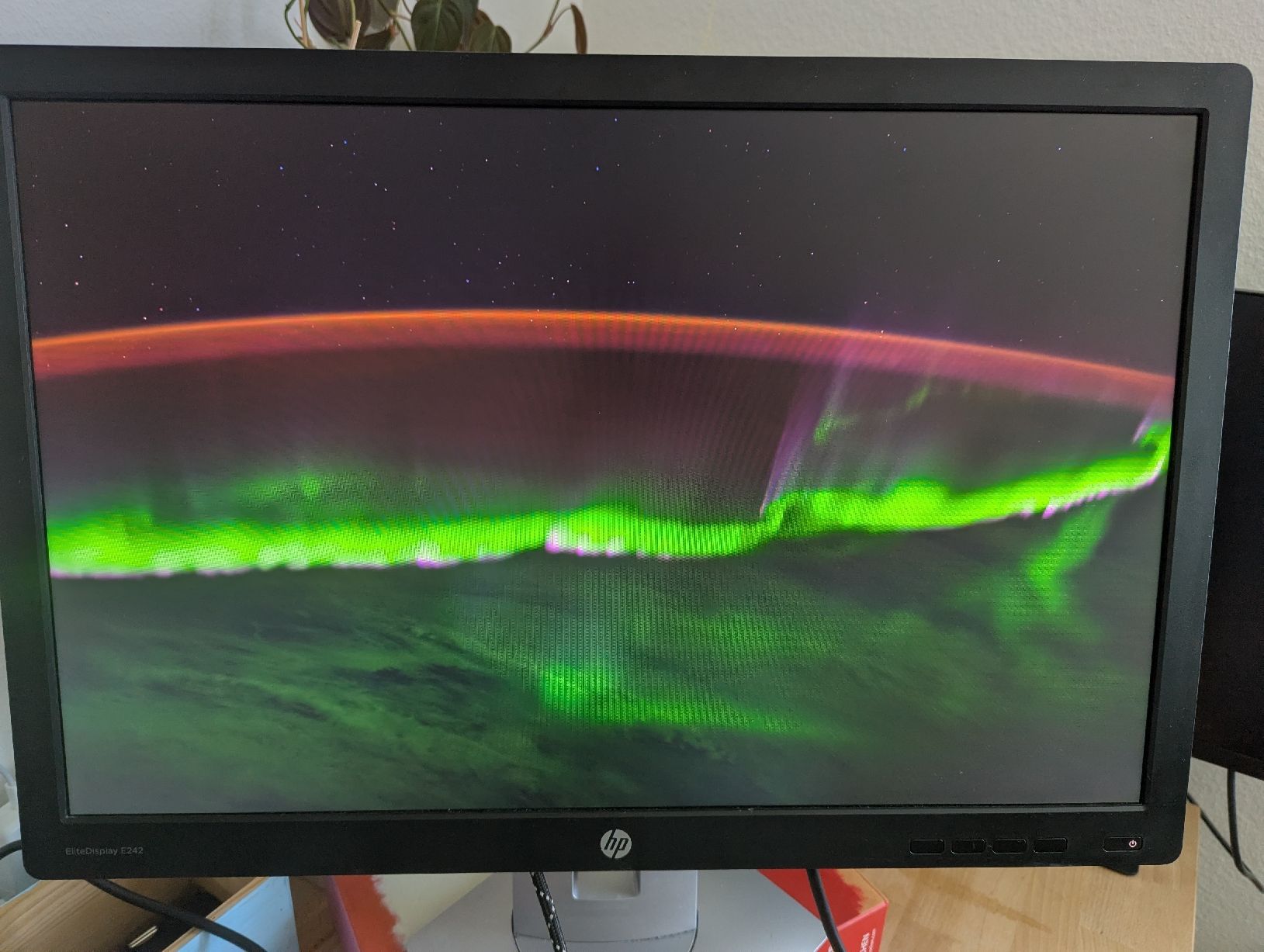 Hewlett Packard Monitor: HP EliteDisplay E242 – Usato da Zofingen venduto da Droni_A 3