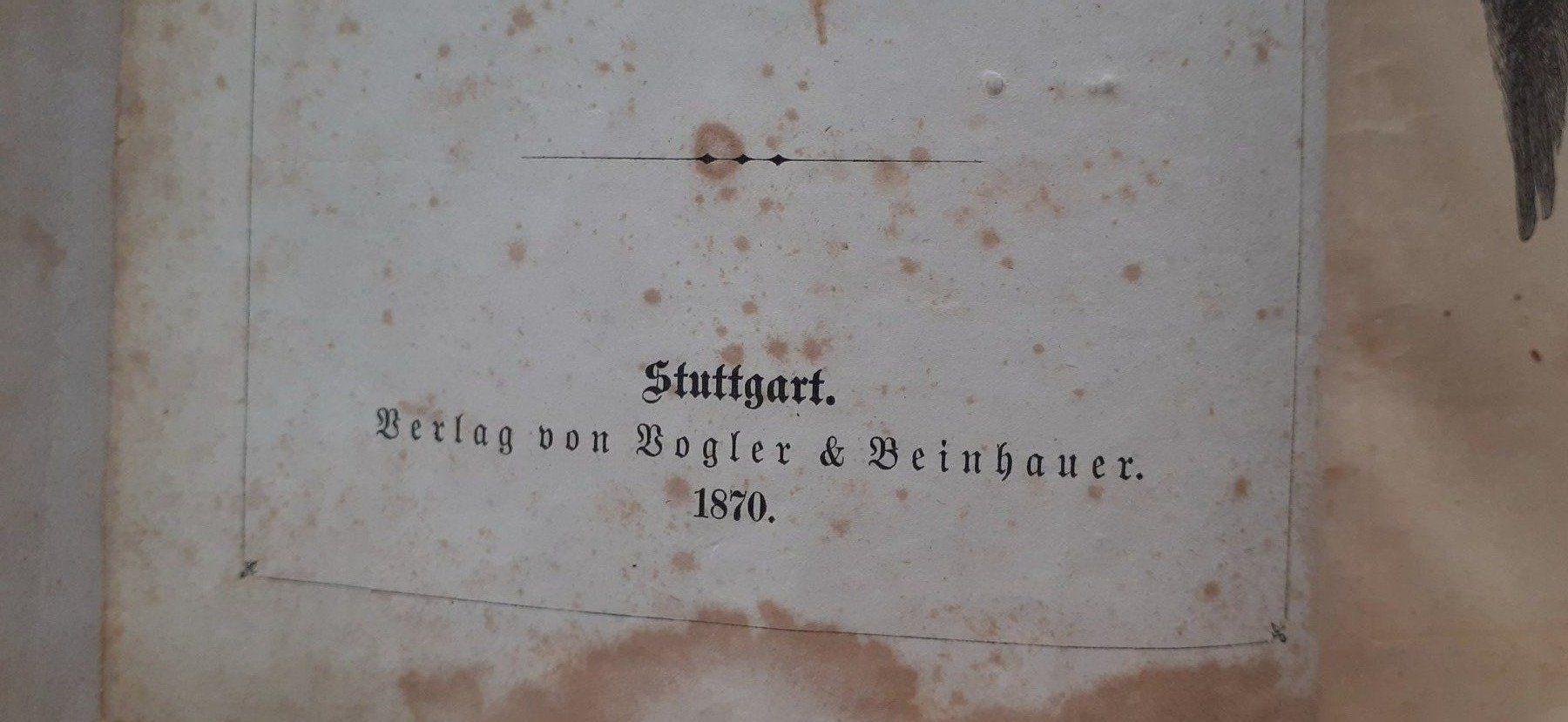 Libri: Illustrierte Geschichte der Neuzeit 1870 – Usato da Mörschwil venduto da lindaswunderkiste 1