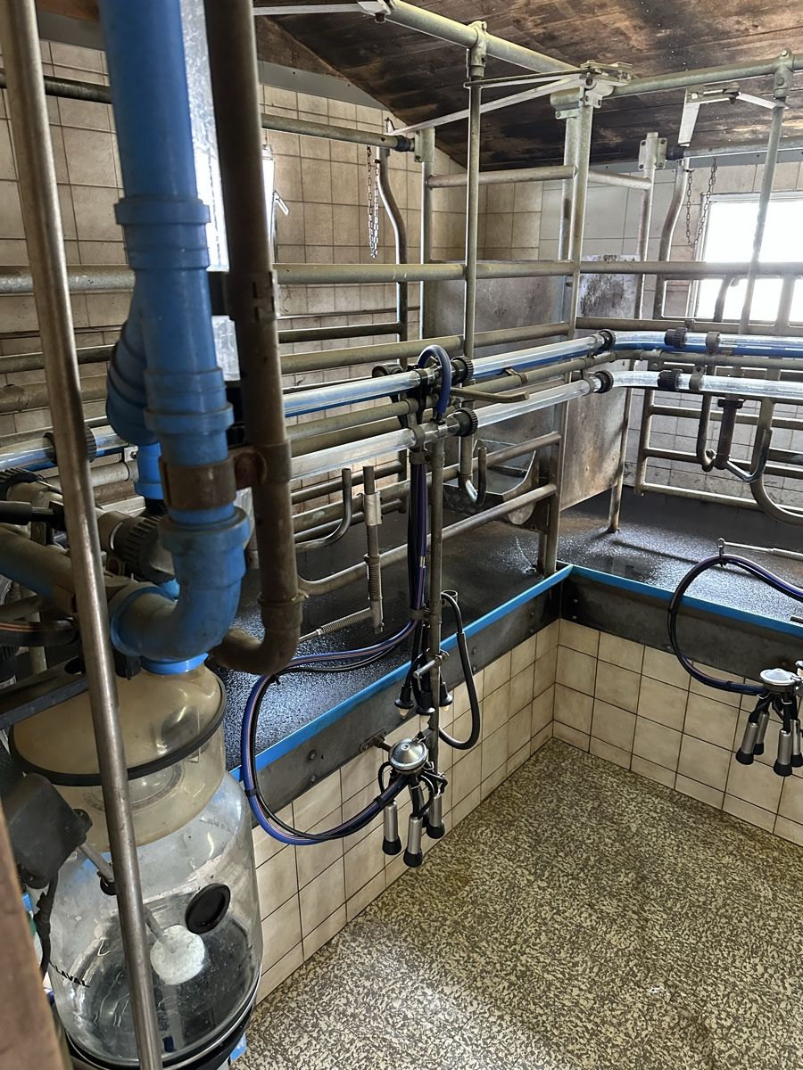 Delaval Tutte le macchine: Melkanlage – Usato da Klosters Dorf venduto da armin94 4