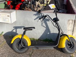 Elektroroller