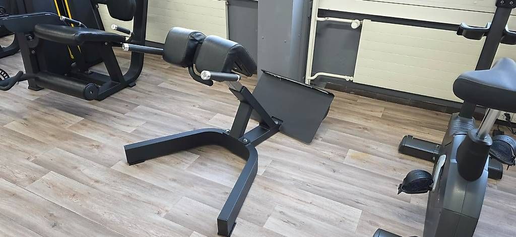 Hometrainer: Rückenstrecker / Backextension  – Usato da Reinach BL venduto da inf_2lmk 1