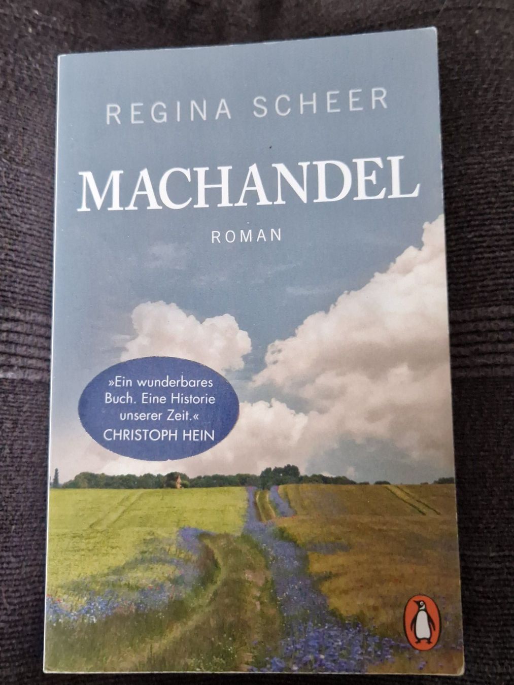Libri: Regina Scheer Machandel DDR – Usato da Neuhausen am Rheinfall venduto da Alchimista