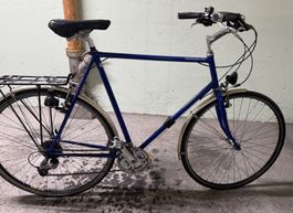 Herrenvelo Basilisk Bike Jucker blau