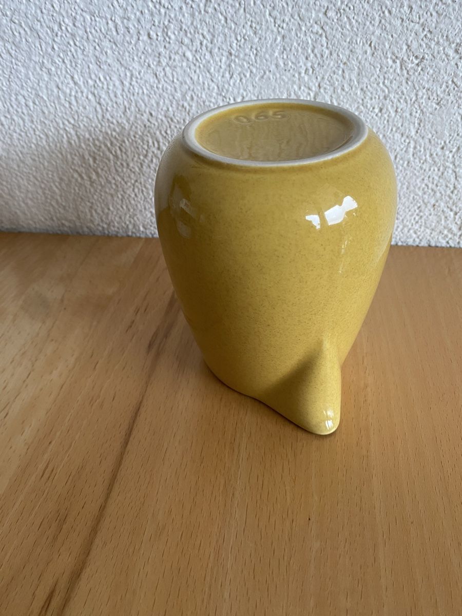 Rössler Caraffe: Rössler Krug senfgelb 0.65 Liter – Usato da Schwarzenburg venduto da Michellu 6