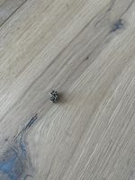 Pandora Charms